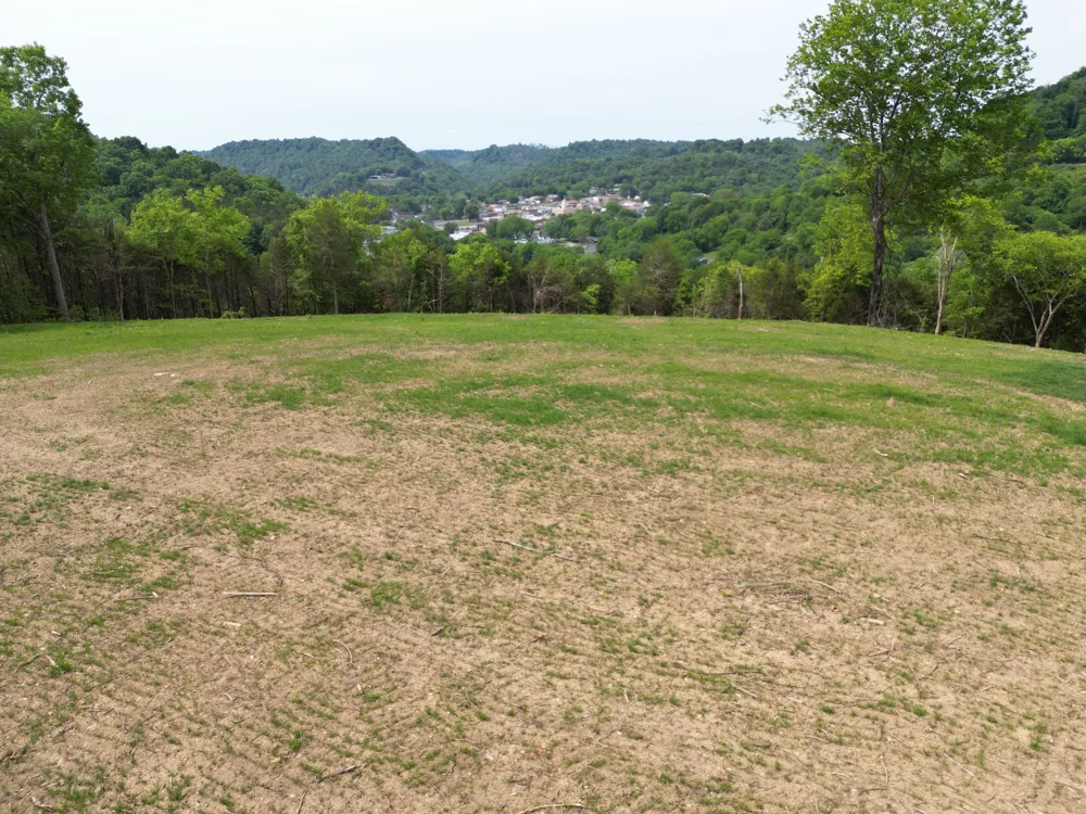 0 Baugh Hollow Rd Gainesboro, TN 38562