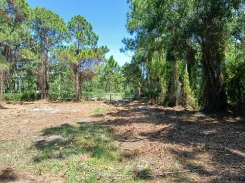 BOBCAT RUN