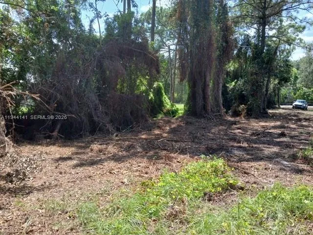 BOBCAT RUN Port St. Lucie, FL 34952