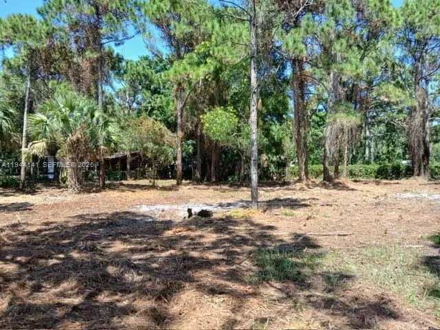 BOBCAT RUN Port St. Lucie, FL 34952