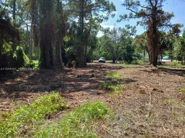 BOBCAT RUN Port St. Lucie, FL 34952