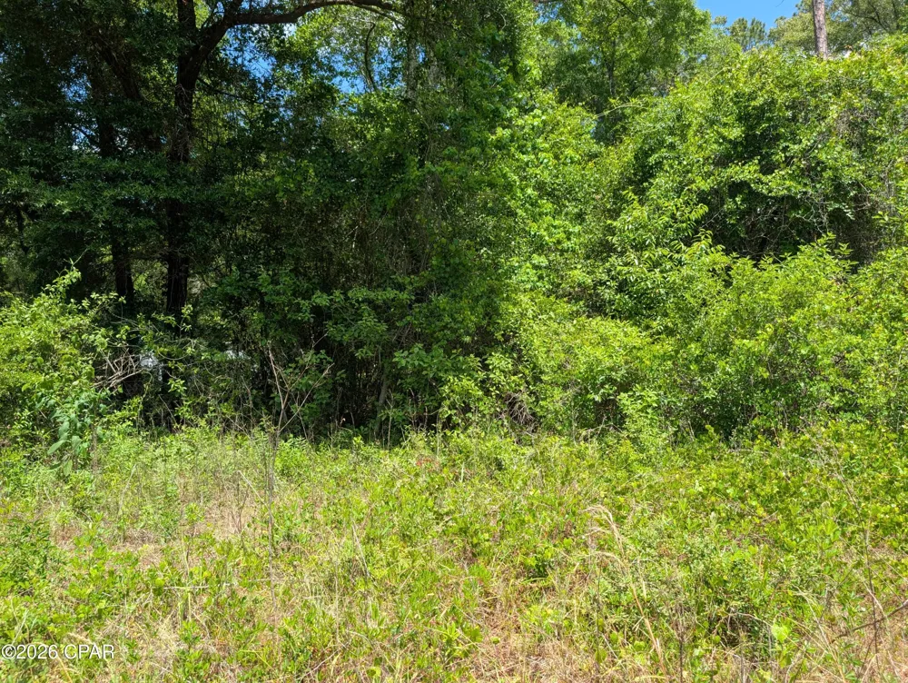 Cricket Village Circle Bonifay, FL 32425