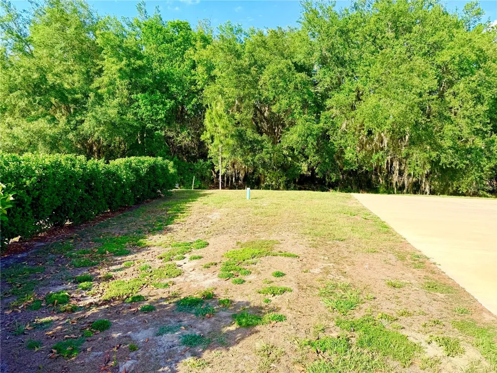 4933 SE 92ND BOULEVARD Webster, FL 33597