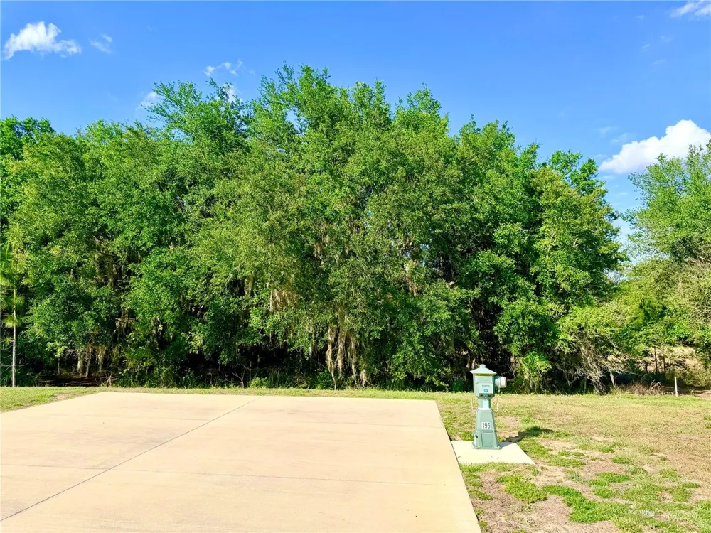 4933 SE 92ND BOULEVARD Webster, FL 33597