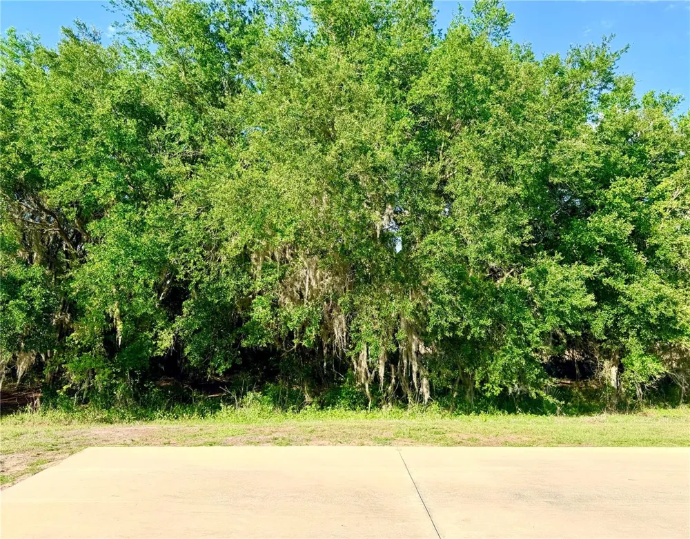 4933 SE 92ND BOULEVARD Webster, FL 33597