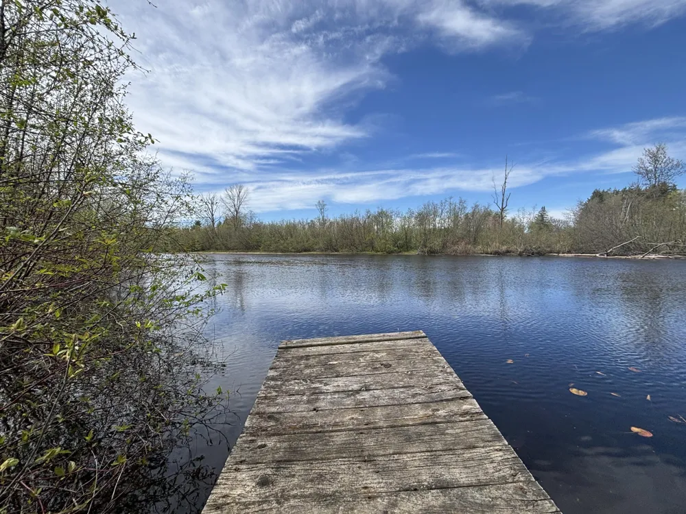 191 Haddix Boulevard #2981 Barryton, MI 49305