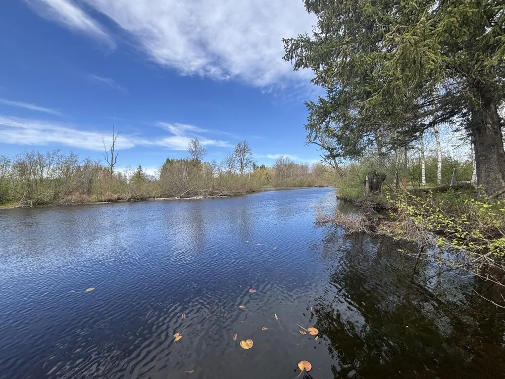191 Haddix Boulevard #2981 Barryton, MI 49305