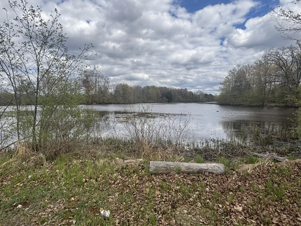 191 Haddix Boulevard #2981 Barryton, MI 49305