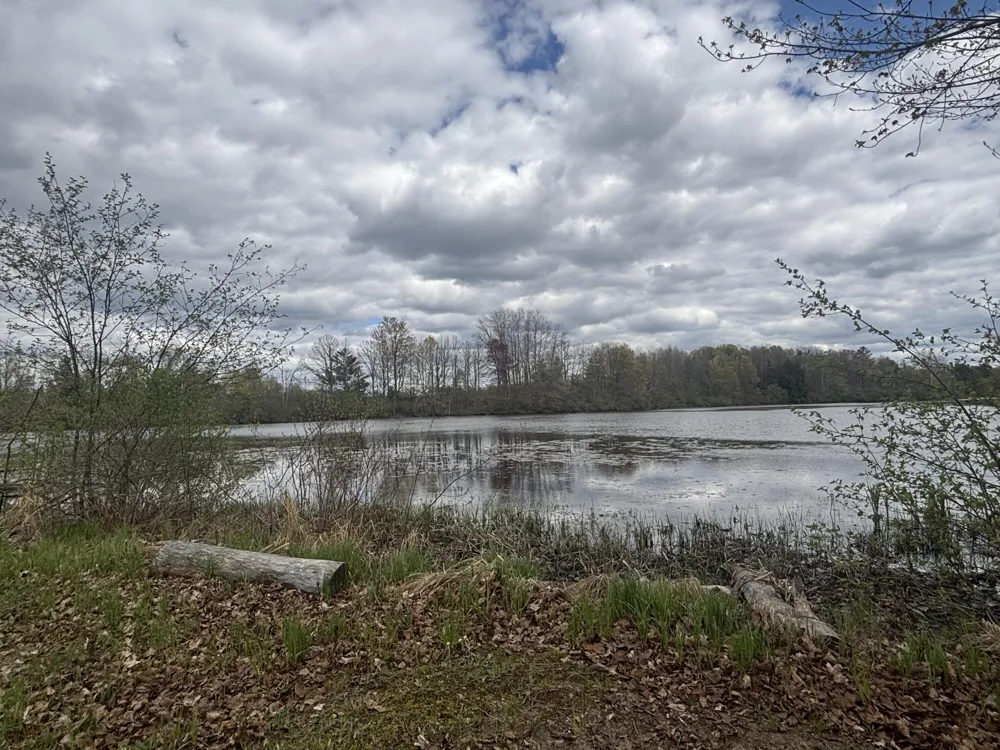 191 Haddix Boulevard #2981 Barryton, MI 49305