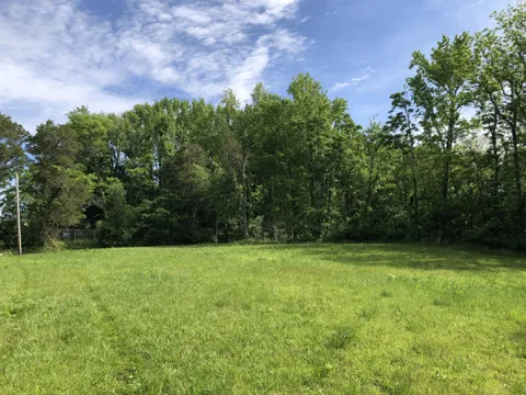 0 Blue Springs Rd