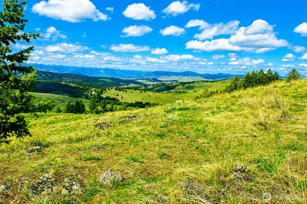 61 Janet Marie Road Tonasket, WA 98855