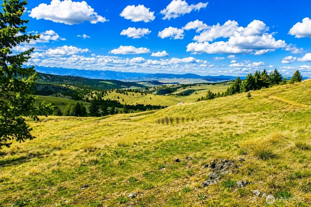 61 Janet Marie Road Tonasket, WA 98855