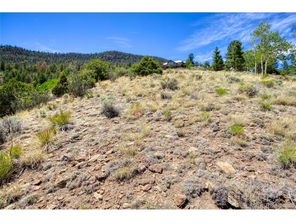 120 Fairway Ridge Lane South Fork, CO 81154