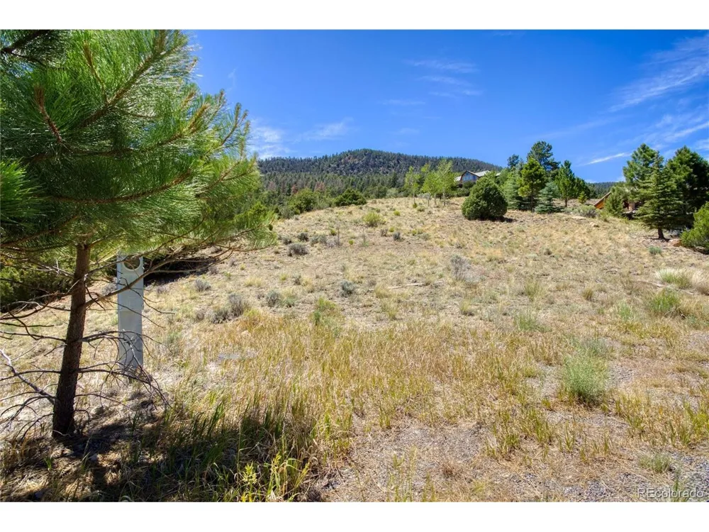 120 Fairway Ridge Lane South Fork, CO 81154