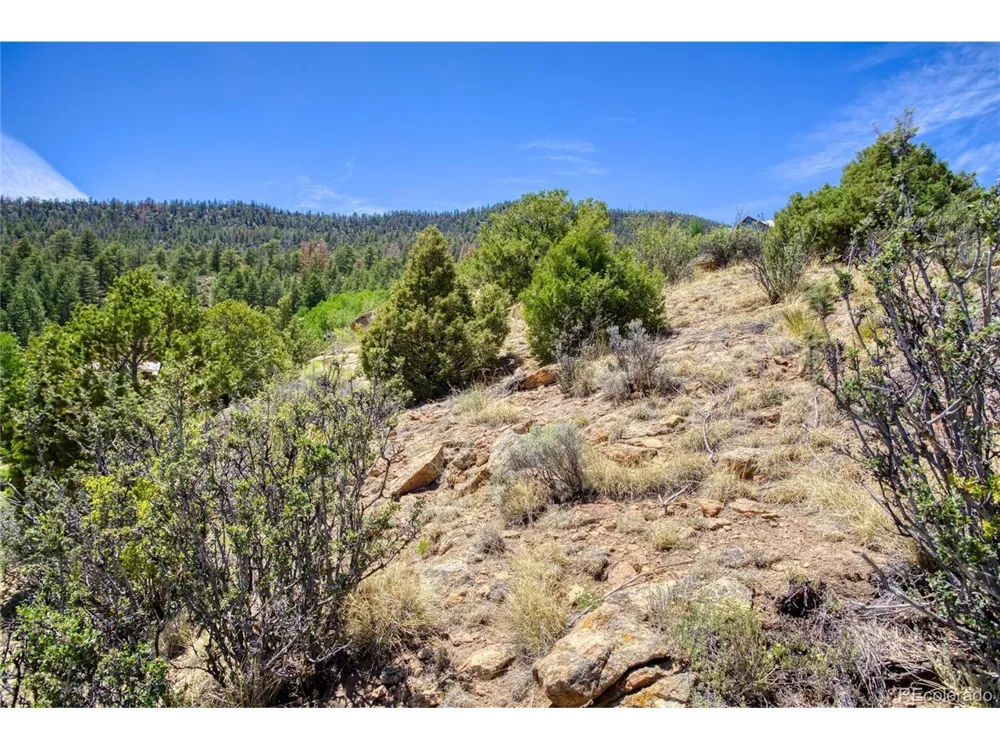 120 Fairway Ridge Lane South Fork, CO 81154