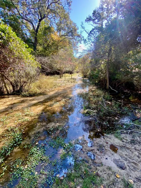 485 Private Road 6142