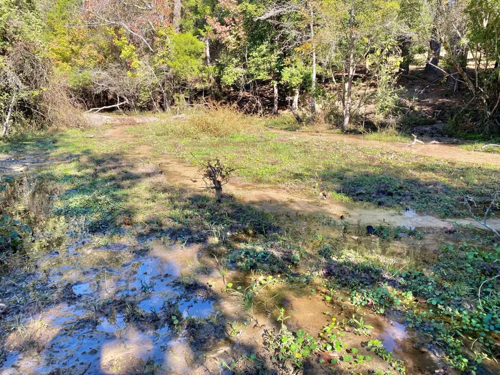 485 Private Road 6142 Grapeland, TX 75844