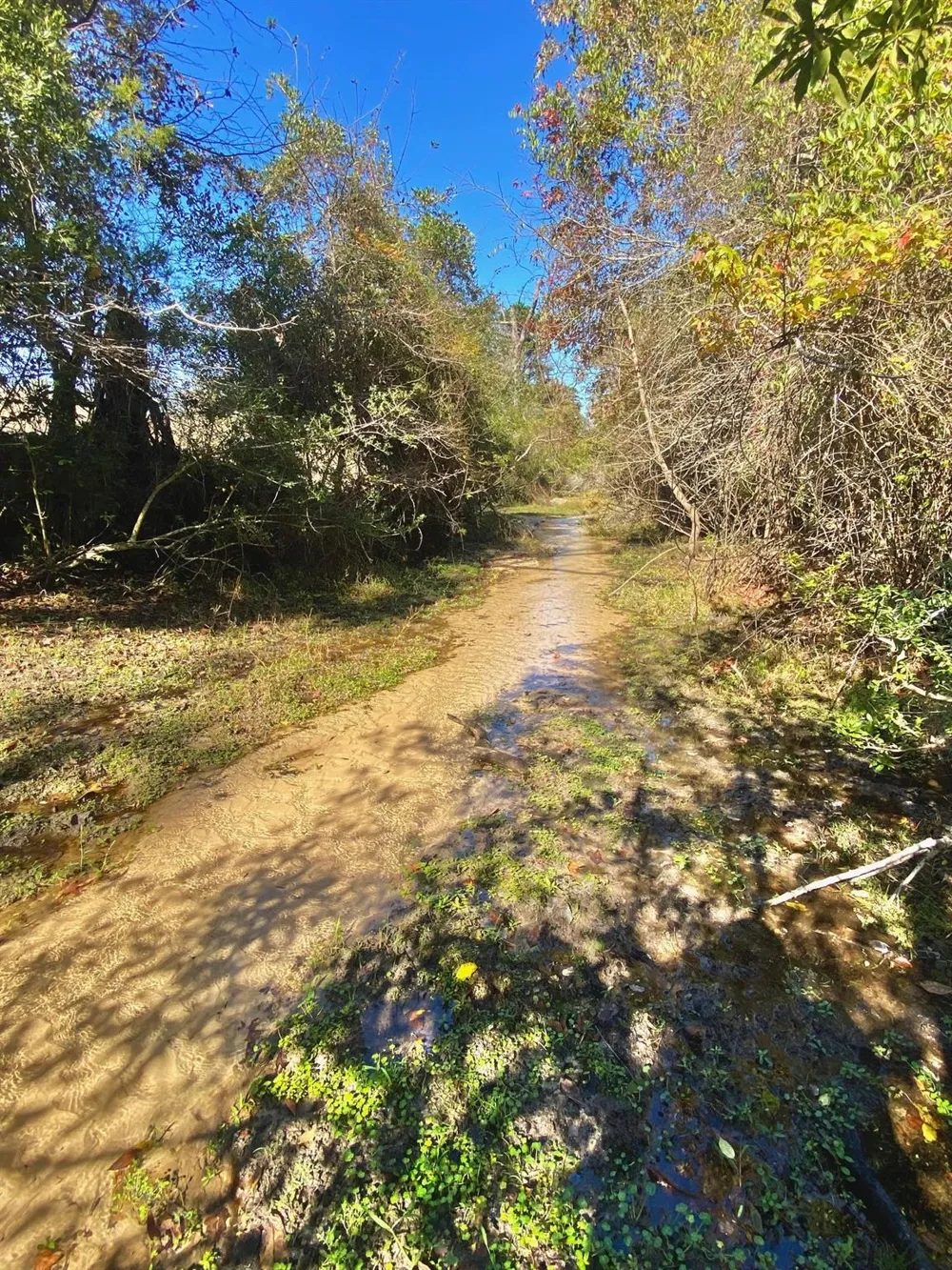 485 Private Road 6142 Grapeland, TX 75844