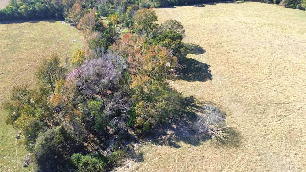 485 Private Road 6142 Grapeland, TX 75844