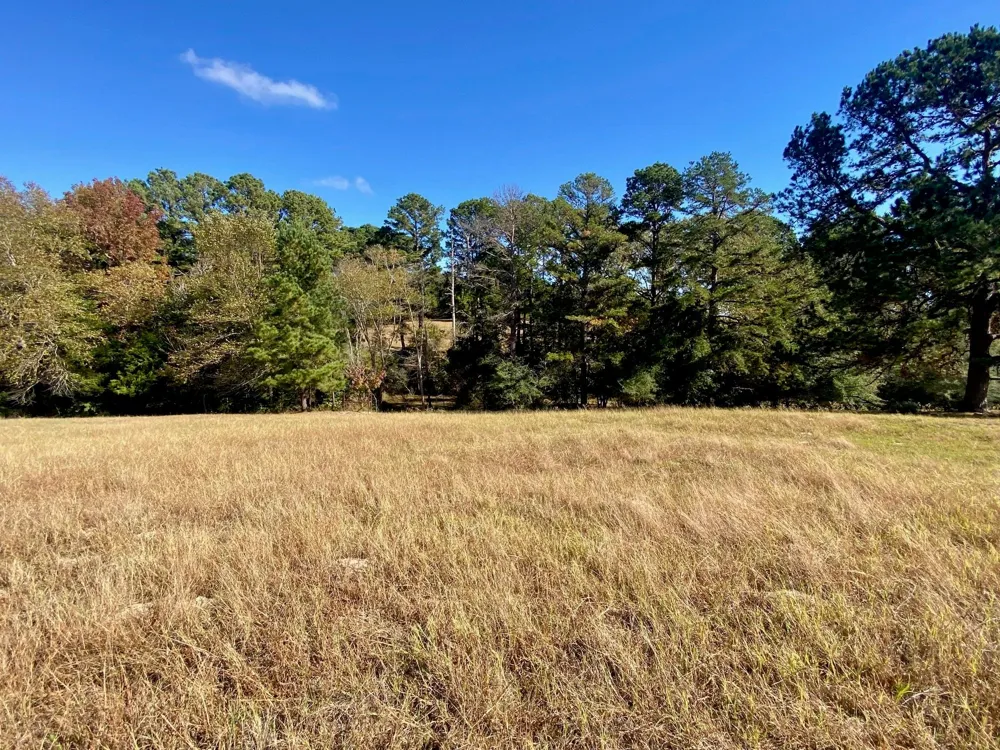485 Private Road 6142 Grapeland, TX 75844