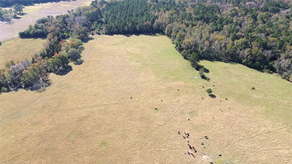485 Private Road 6142 Grapeland, TX 75844