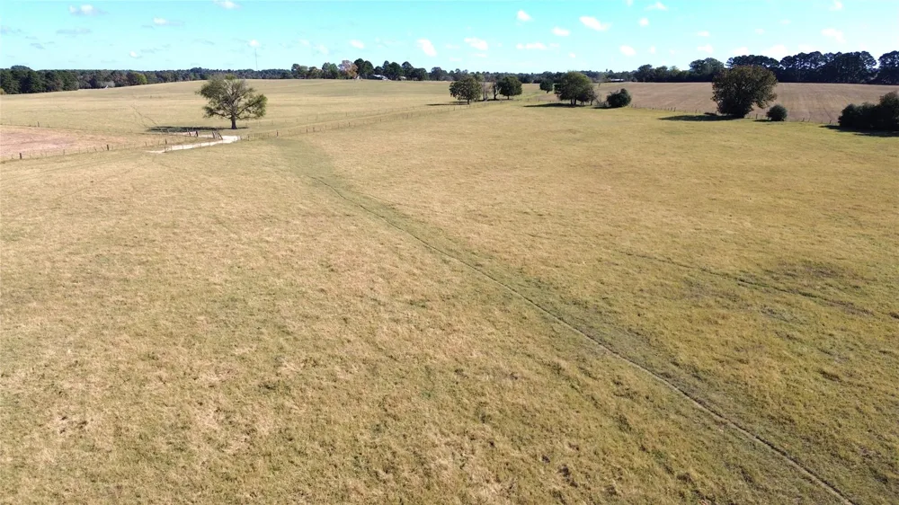 485 Private Road 6142 Grapeland, TX 75844