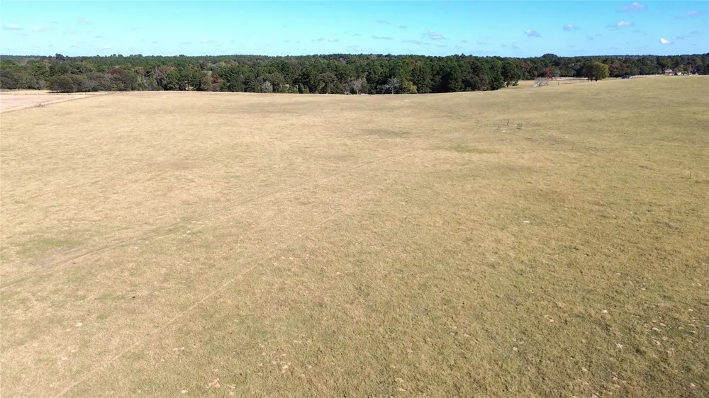 485 Private Road 6142 Grapeland, TX 75844