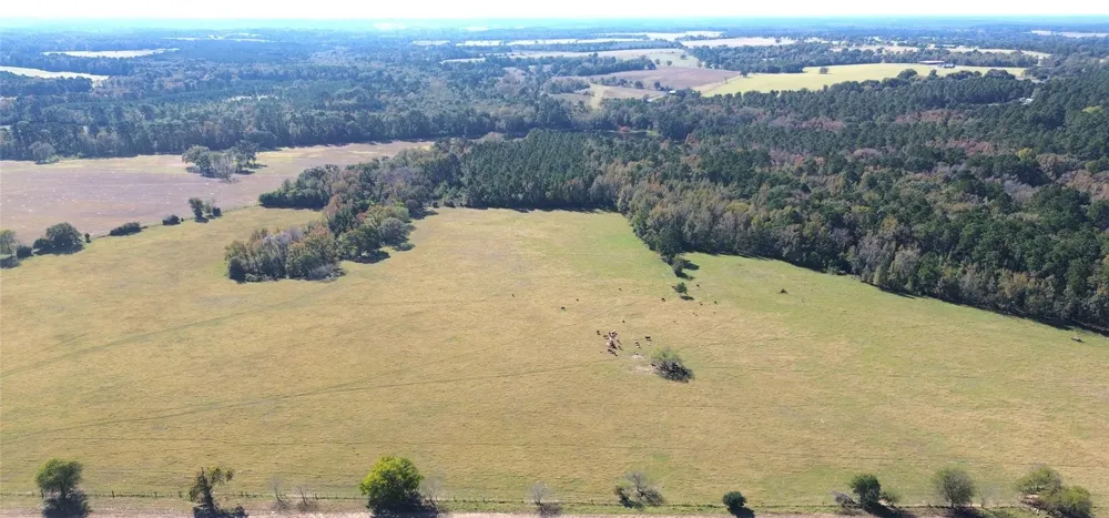 485 Private Road 6142 Grapeland, TX 75844
