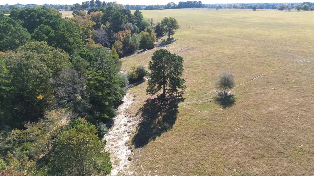 485 Private Road 6142 Grapeland, TX 75844