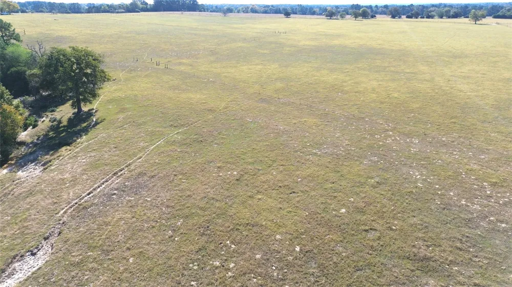 485 Private Road 6142 Grapeland, TX 75844
