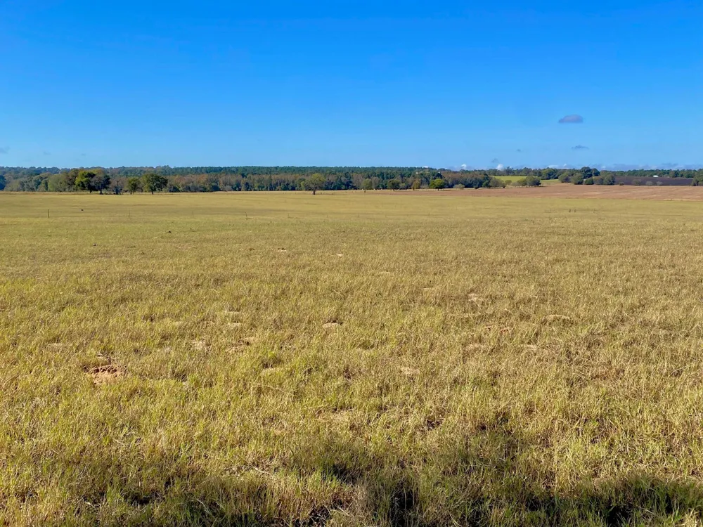 485 Private Road 6142 Grapeland, TX 75844
