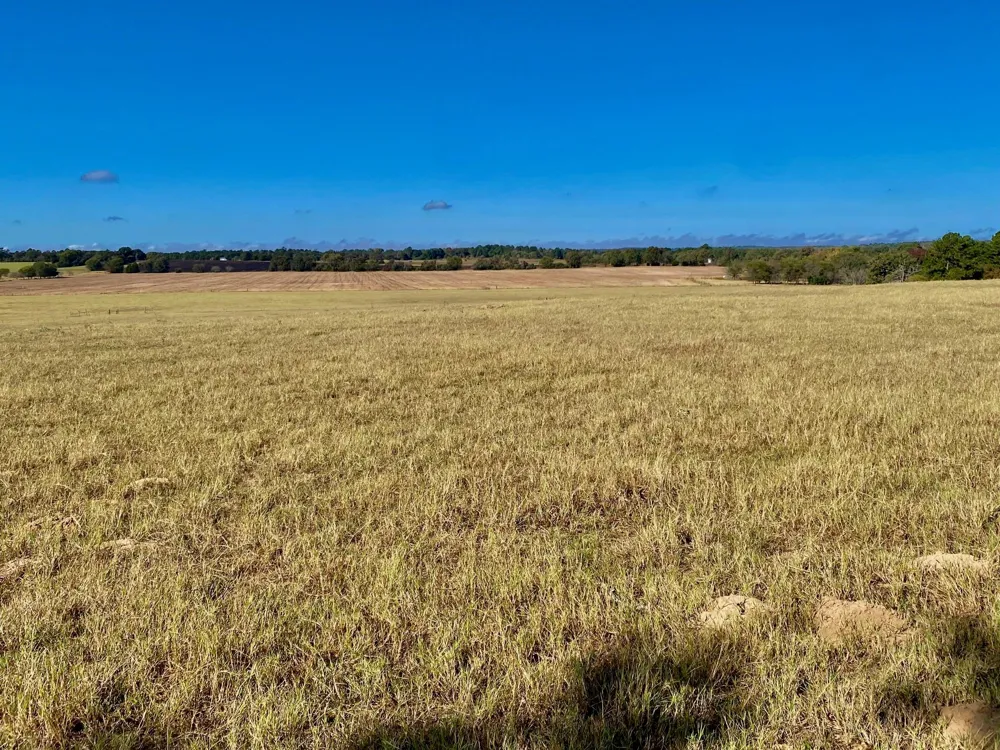 485 Private Road 6142 Grapeland, TX 75844