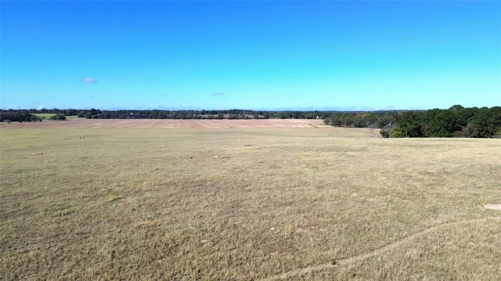 485 Private Road 6142 Grapeland, TX 75844