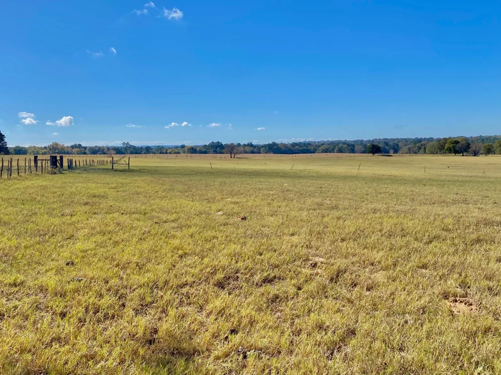 485 Private Road 6142 Grapeland, TX 75844