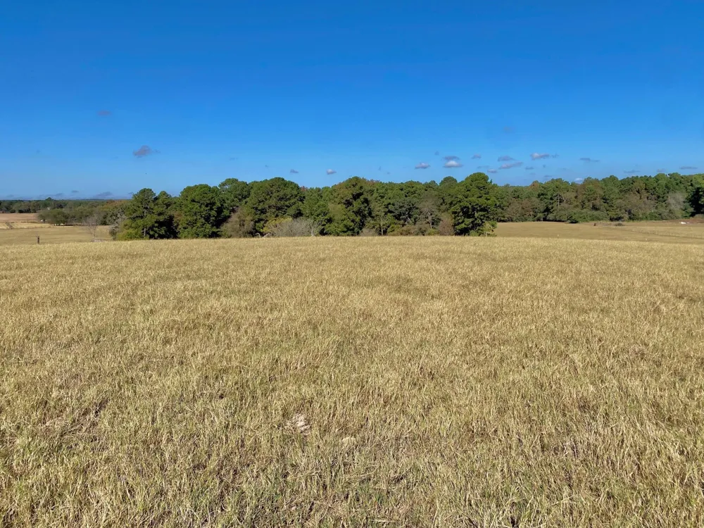 485 Private Road 6142 Grapeland, TX 75844