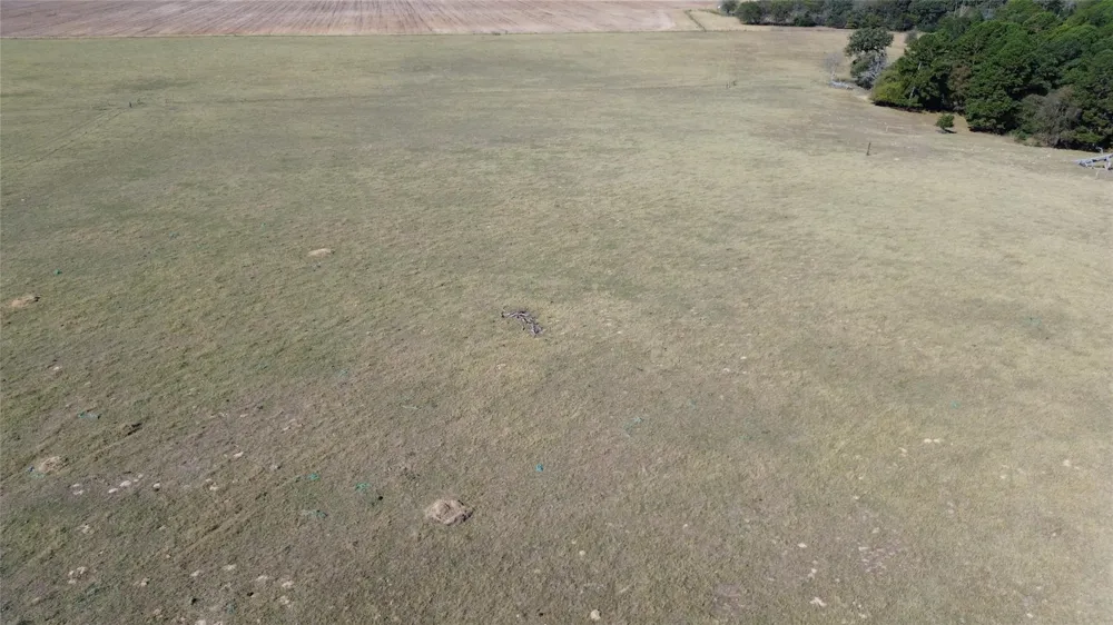 485 Private Road 6142 Grapeland, TX 75844