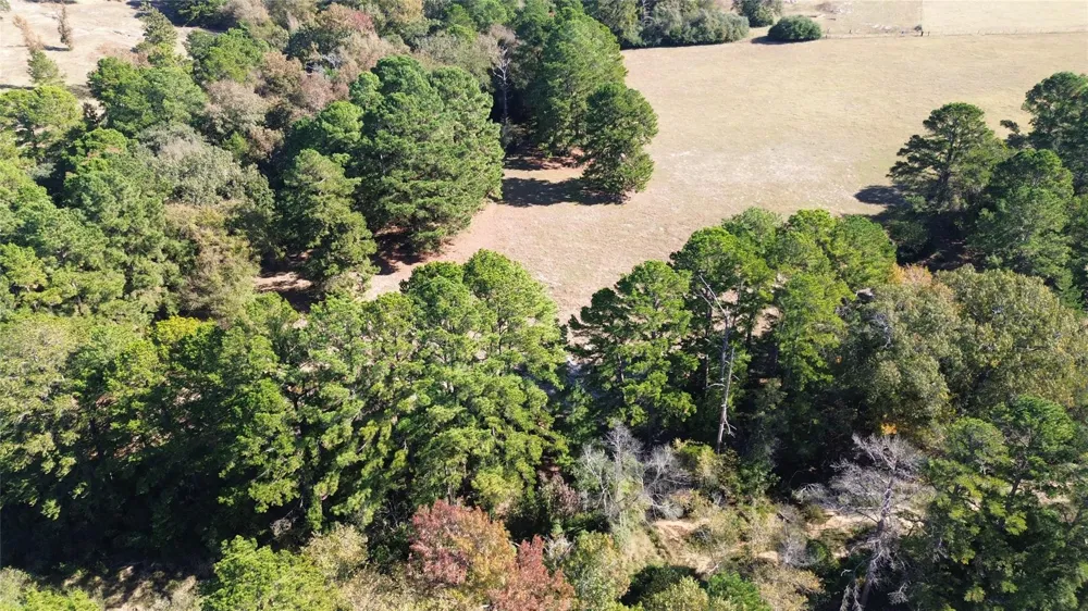 485 Private Road 6142 Grapeland, TX 75844