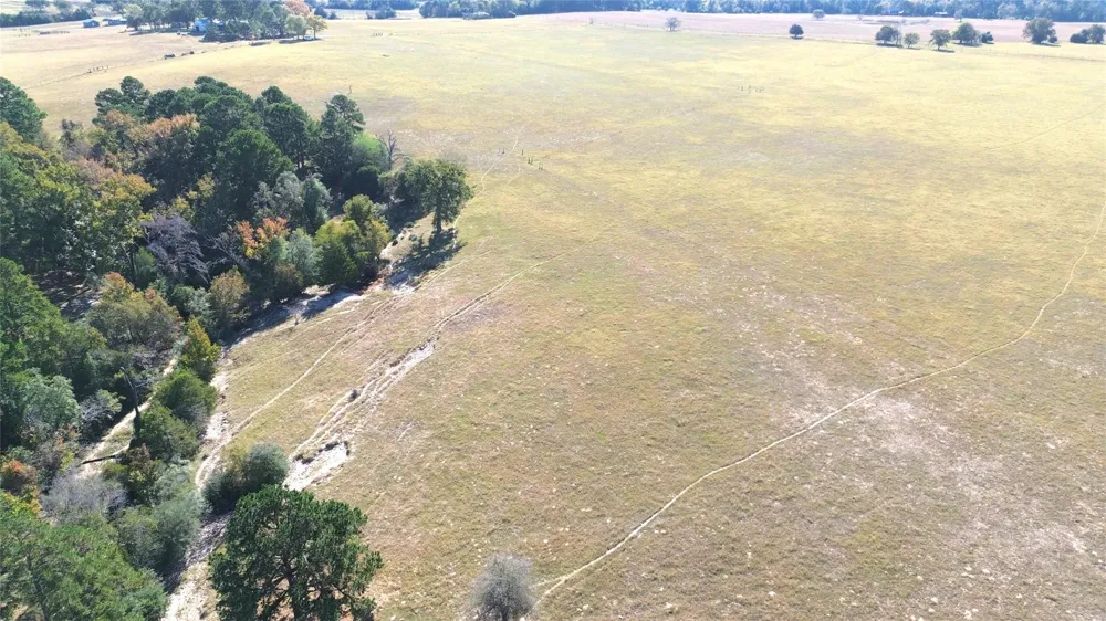 485 Private Road 6142 Grapeland, TX 75844