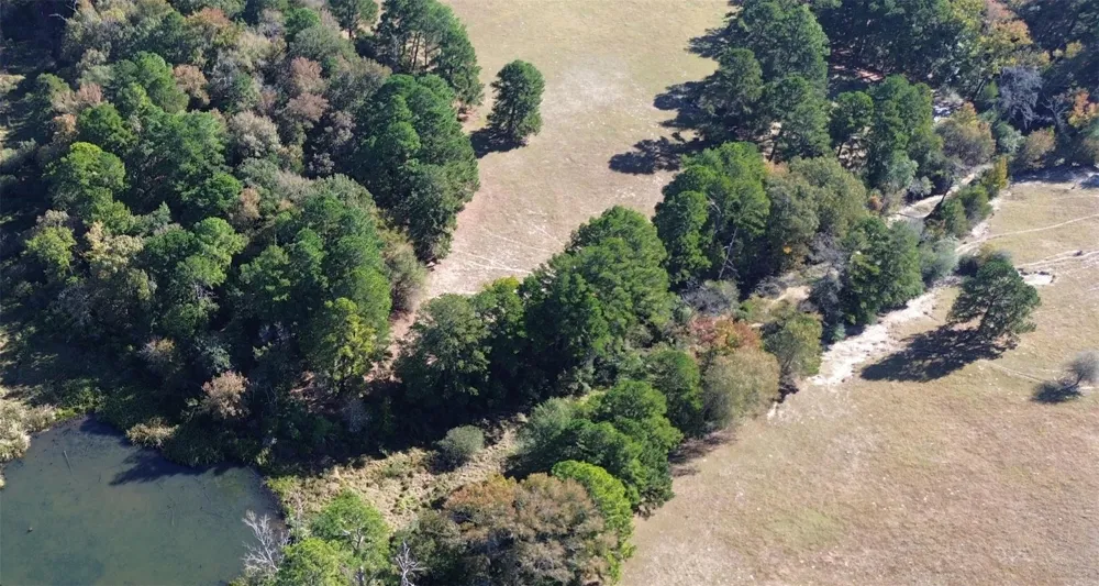 485 Private Road 6142 Grapeland, TX 75844