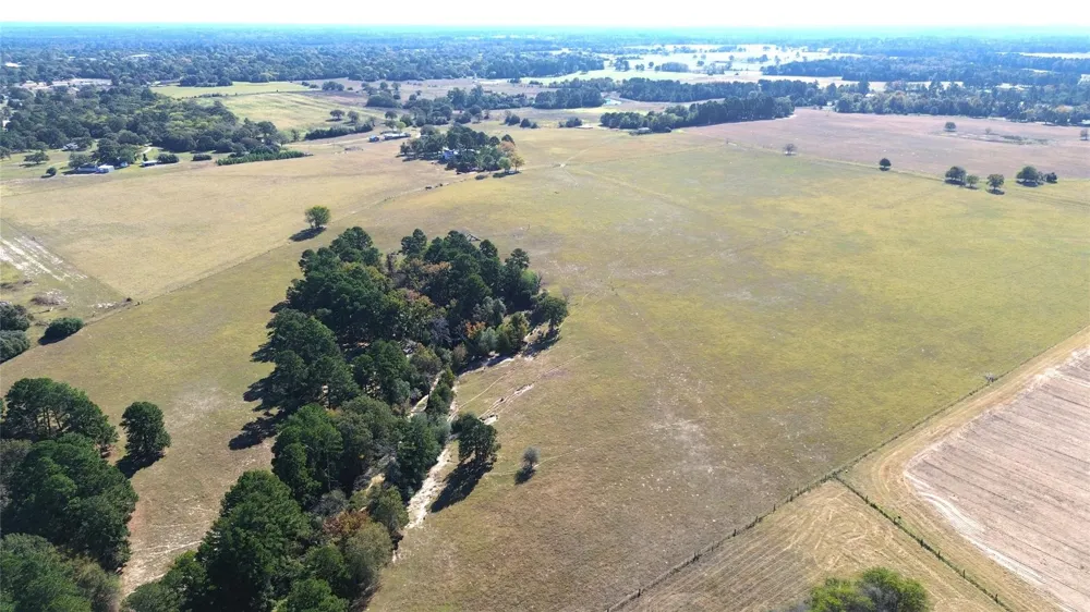 485 Private Road 6142 Grapeland, TX 75844