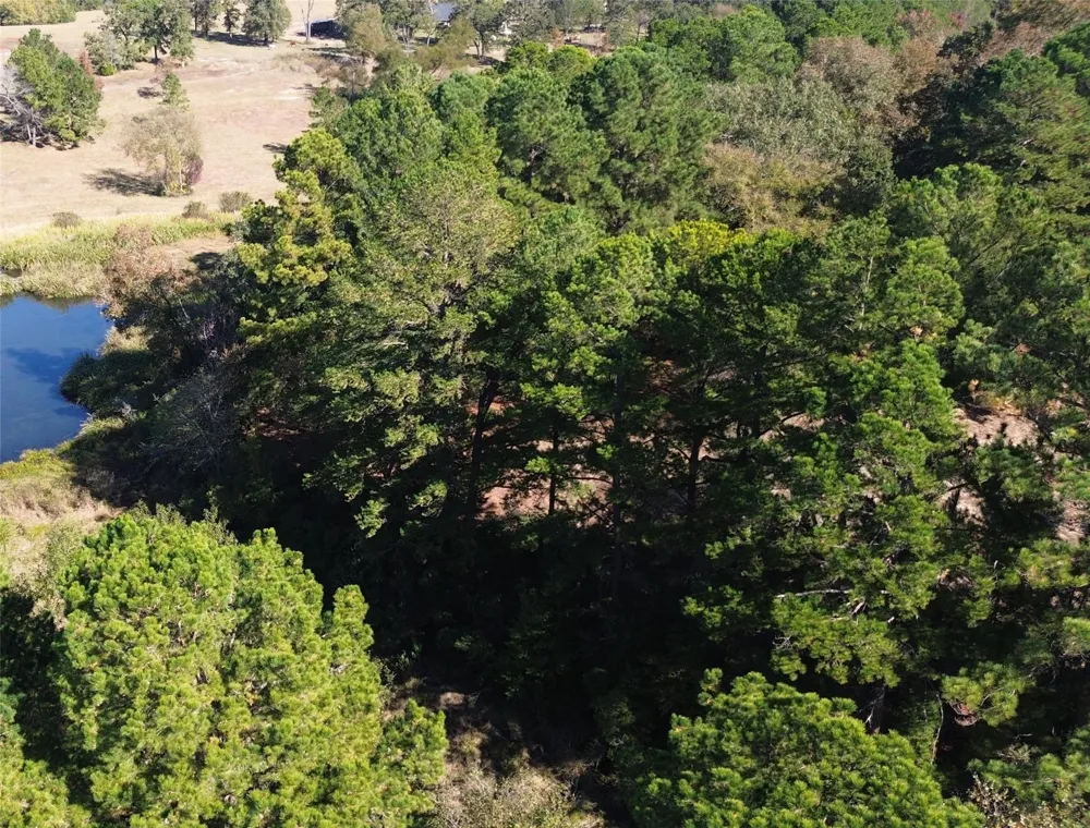 485 Private Road 6142 Grapeland, TX 75844