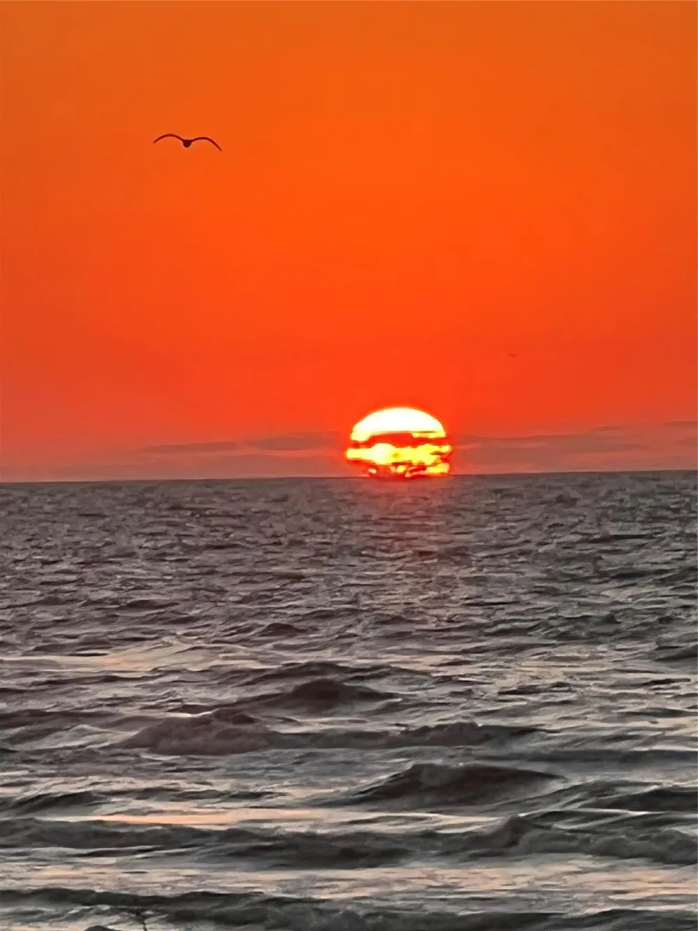 4230 Pirates Drive Galveston, TX 77554