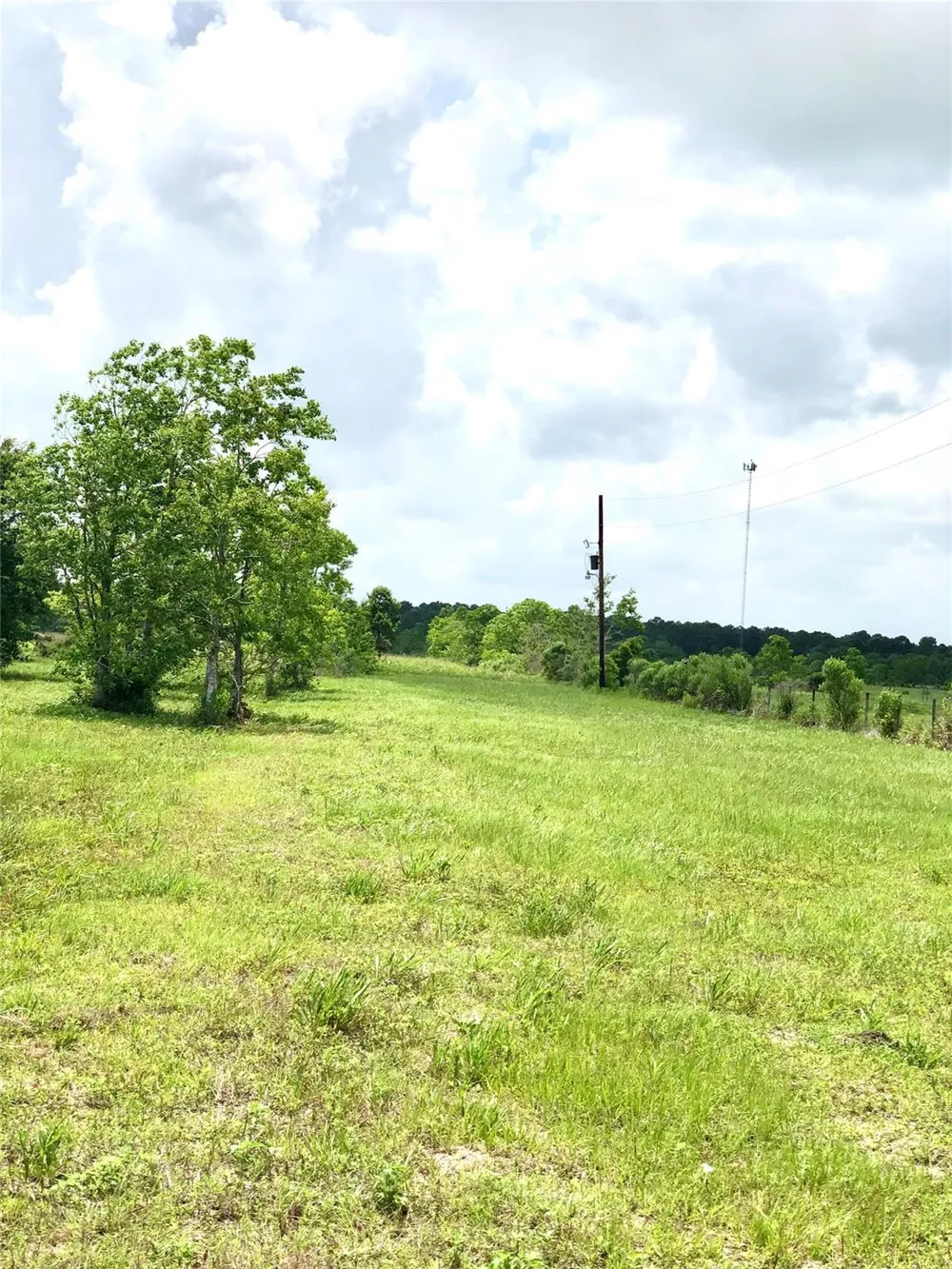 14153 Hamshire Road Hamshire, TX 77622