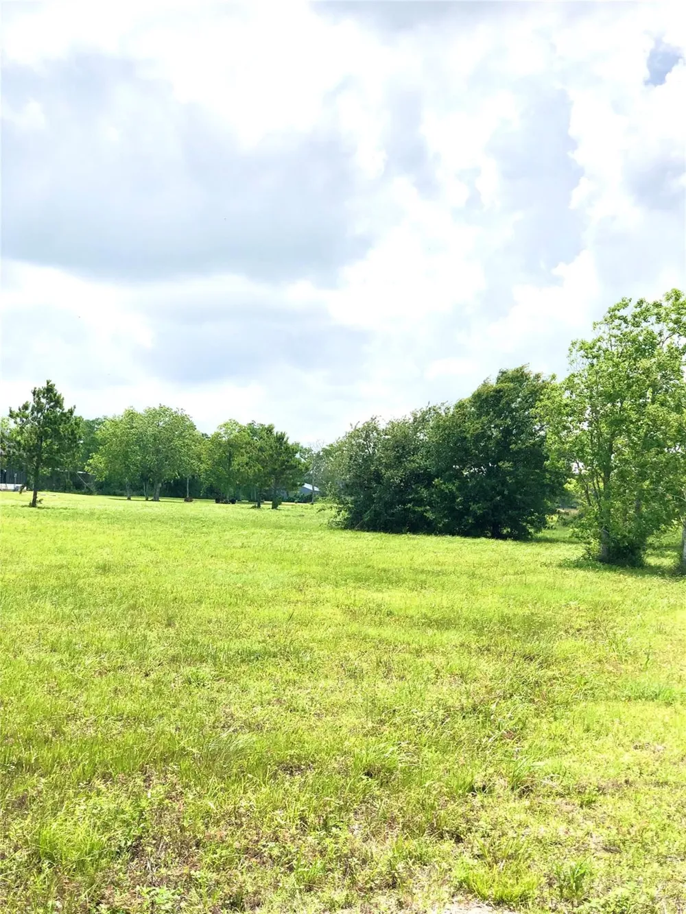 14153 Hamshire Road Hamshire, TX 77622