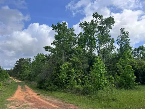 County Road 2041