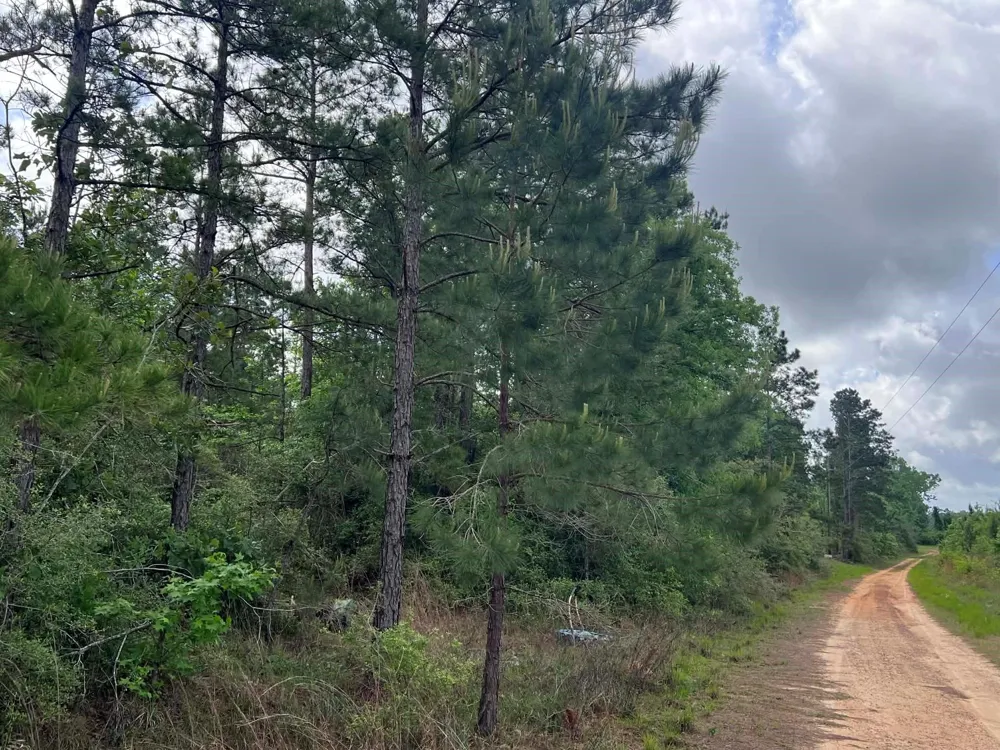 County Road 2041 Newton, TX 75966