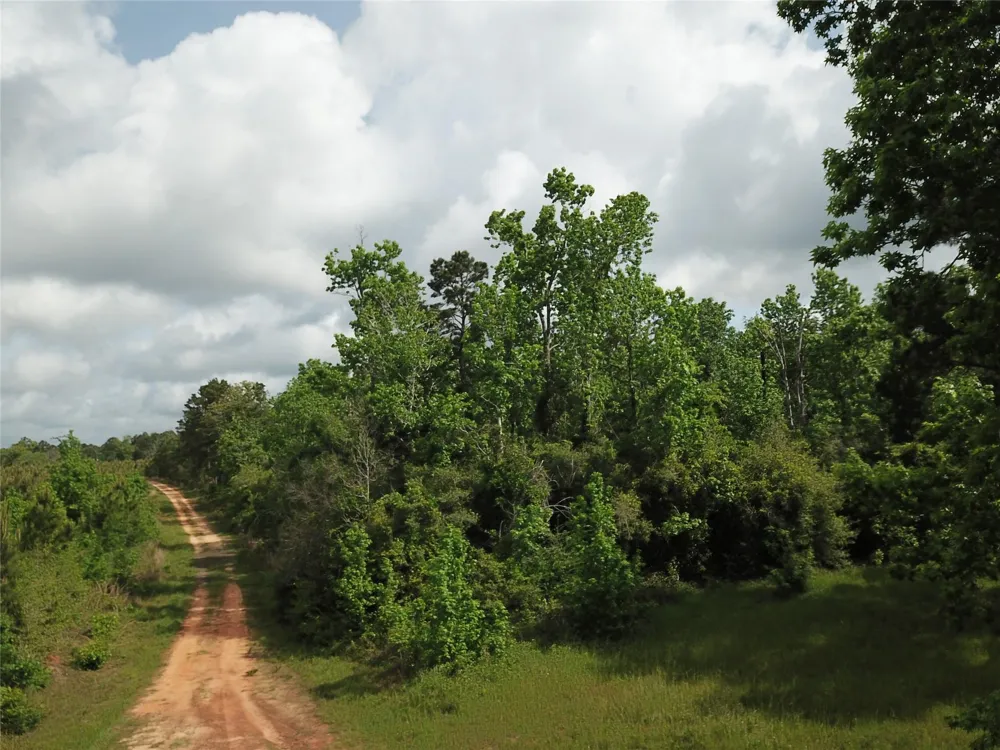 County Road 2041 Newton, TX 75966
