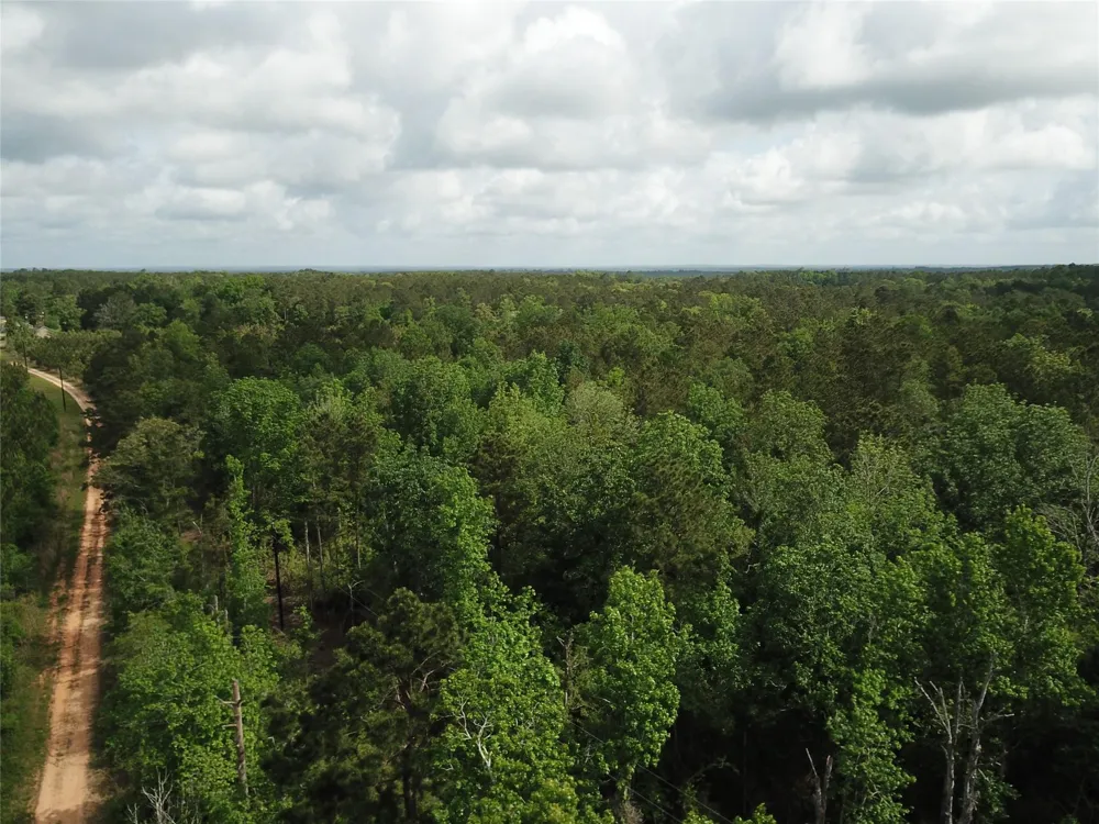 County Road 2041 Newton, TX 75966