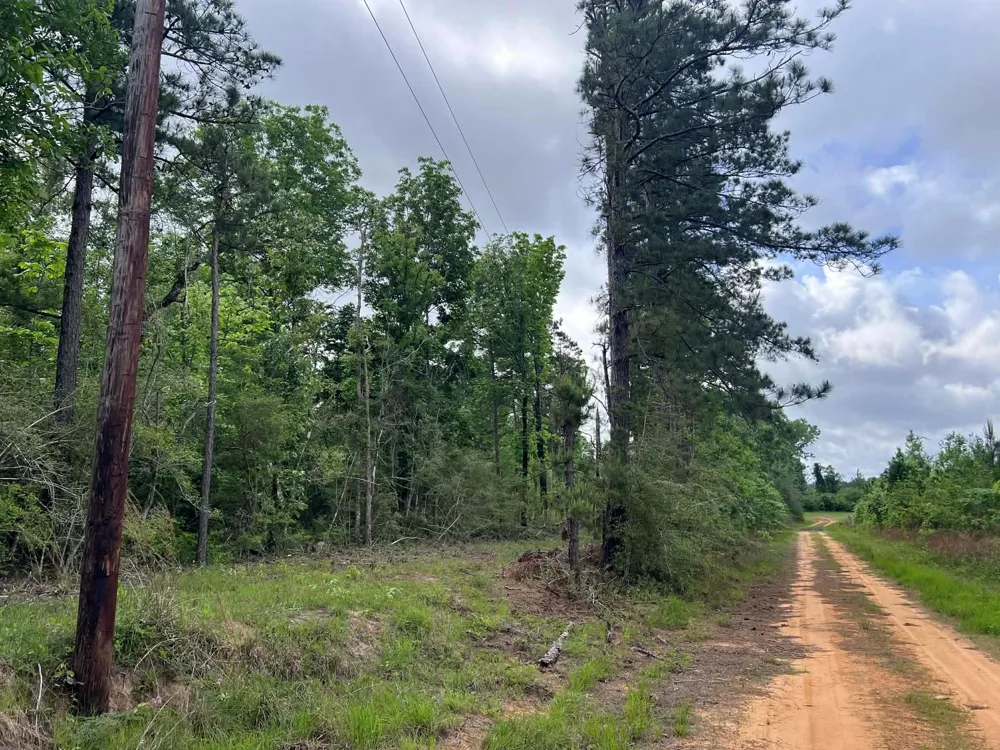 County Road 2041 Newton, TX 75966