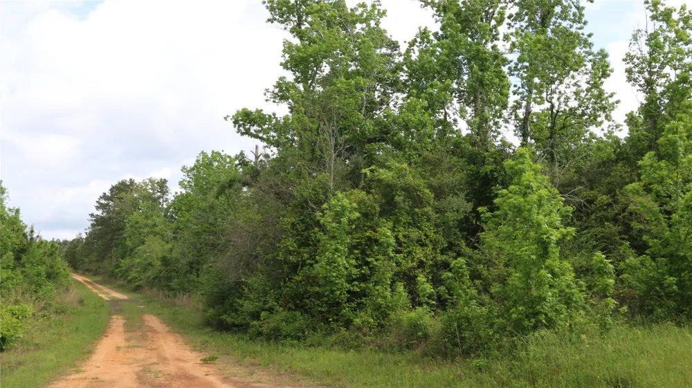 County Road 2041 Newton, TX 75966